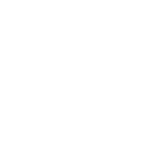 ROMS ACADEMY logo White