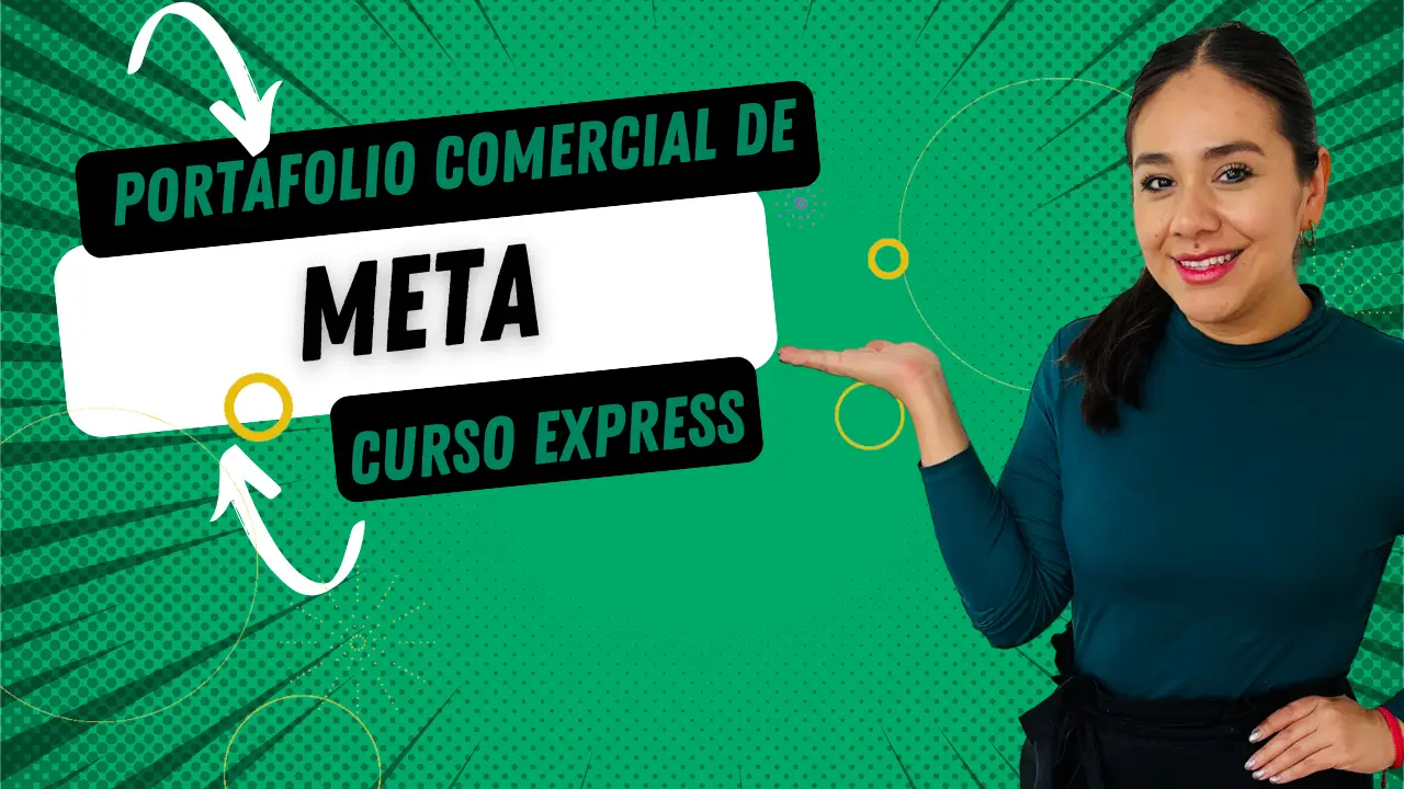 Aprende el portafolio empresarial de meta desde cero